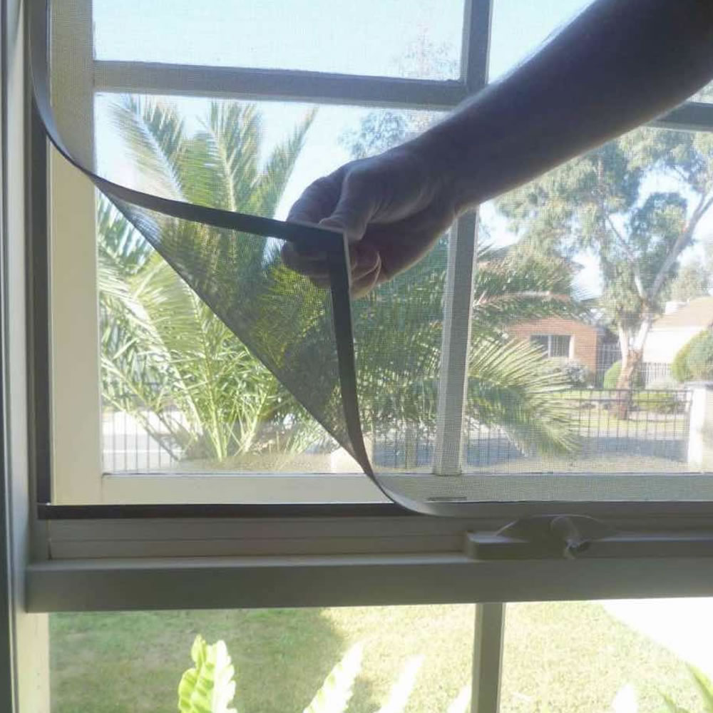 Magnetisches Fliegengitter, immagine 5